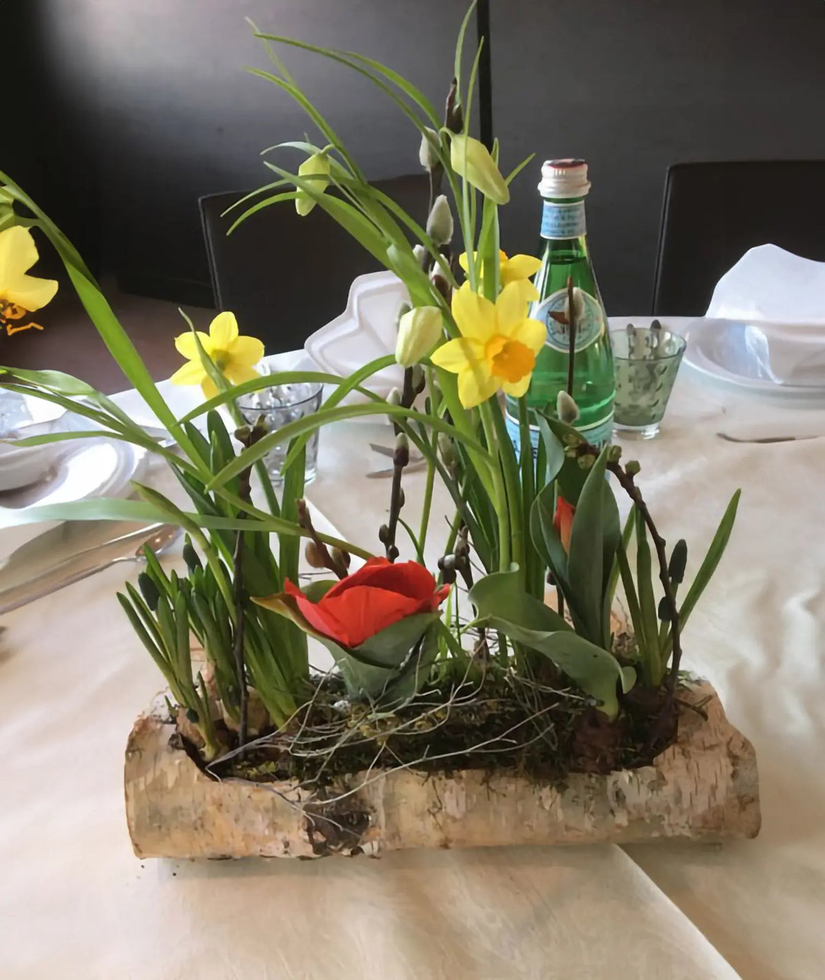 Ein frühlingshaftes Blumengesteck mit gelben Osterglocken und roten Tulpen, das kunstvoll in einem ausgehöhlten Birkenstamm mit echter Rinde arrangiert ist. Das natürliche Gesteck dient als dekorativer Blickfang auf einem festlich gedeckten Tisch.