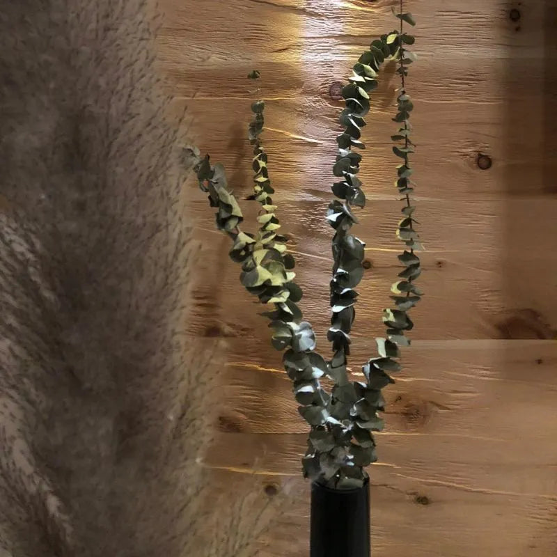 Eine gemütlich beleuchtete Wandverkleidung aus horizontalen, naturbelassenen Zirbenholz-Brettern. Im Vordergrund dekorieren getrocknete Eukalyptuszweige den Raum.