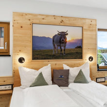 Lade das Bild in den Galerie-Viewer, Musterpaket Profilholz
