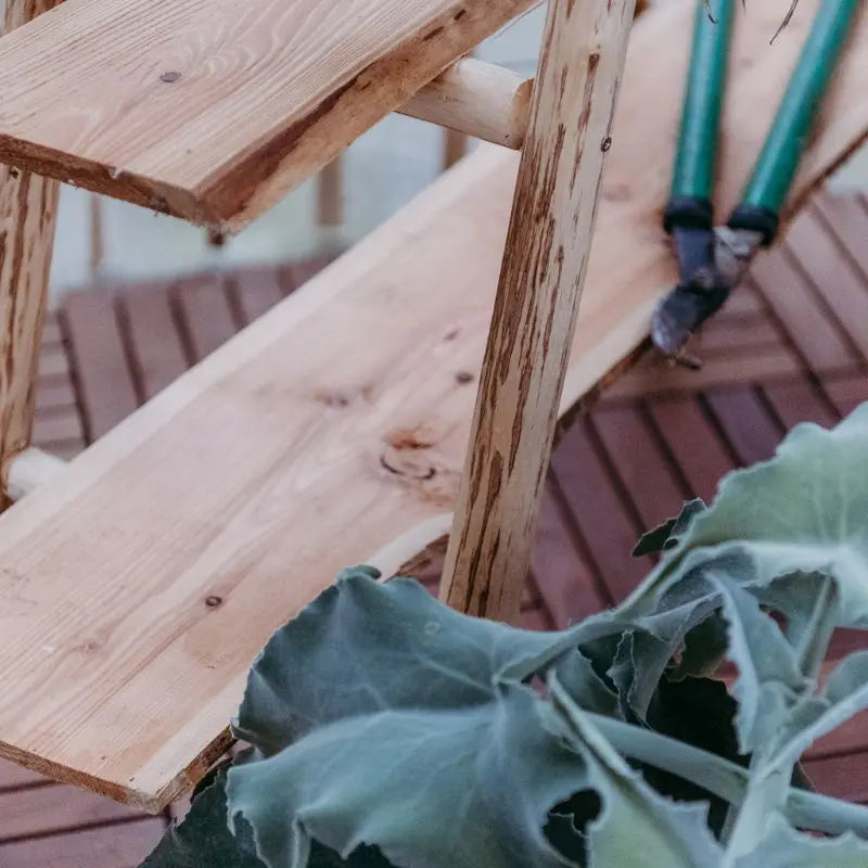 Eine rustikale Holzleiter dient als dekorative Ablage auf einer Terrasse mit dunkelbraunen Holzfliesen. Auf einer der Stufen liegt eine grüne Gartenschere neben einem großen Blatt im unscharfen Vordergrund.
