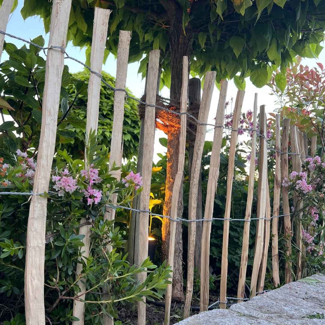 Eine perspektivische Ansicht durch die Latten eines Staketenzauns auf ein Beet mit violetten Blumen und hohen grünen Gräsern. Das warme Licht einer versteckten Lichtquelle im Vordergrund betont die Textur des Holzes und der umliegenden Blätter.