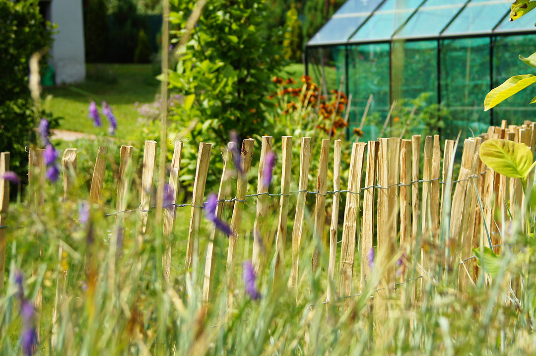 Ein rustikaler Staketenzaun aus hellem Holz dient als dekorative Begrenzung in einem sonnigen Garten. Im Hintergrund sind ein Gewächshaus und blühende Gartenpflanzen zu sehen, während lila Blumen im Vordergrund das naturnahe Bild abrunden.