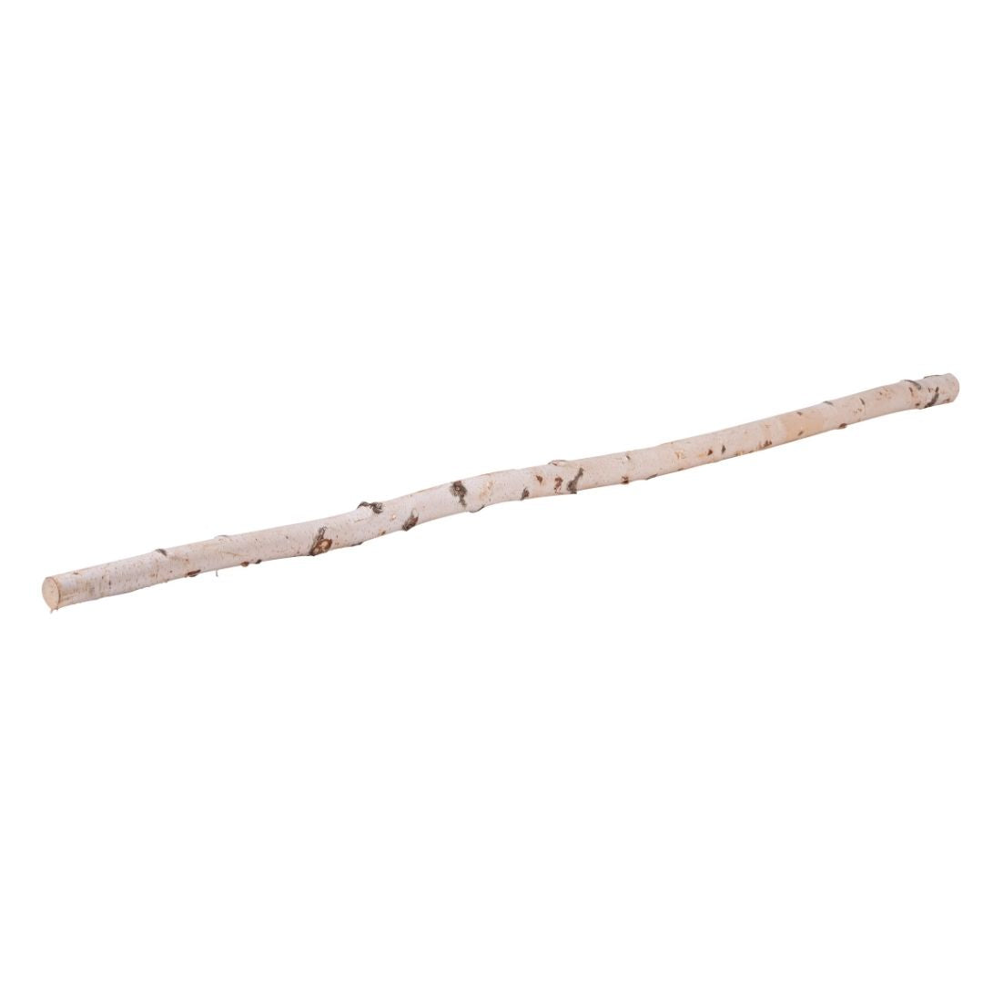Ein langer, schlanker Birkenstamm mit markanter weißer Rinde liegt diagonal auf einer weißen Fläche. Die natürliche, leicht unregelmäßige Form des Stammes unterstreicht den rustikalen Look des Naturmaterials.
