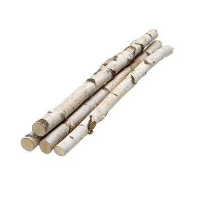 Ein langer, schlanker Birkenstamm mit markanter weißer Rinde liegt diagonal auf einer weißen Fläche. Die natürliche, leicht unregelmäßige Form des Stammes unterstreicht den rustikalen Look des Naturmaterials.