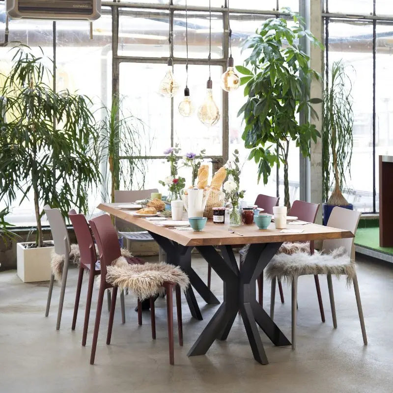Ein langgezogener, reich gedeckter Esstisch mit Holzplatte und schwarzem Metallgestell steht in einem hellen, von Pflanzen umgebenen Wintergarten. Verschiedenfarbige Stühle, teilweise mit gemütlichen Fellkissen ausgestattet, umrunden die Tischgruppe.