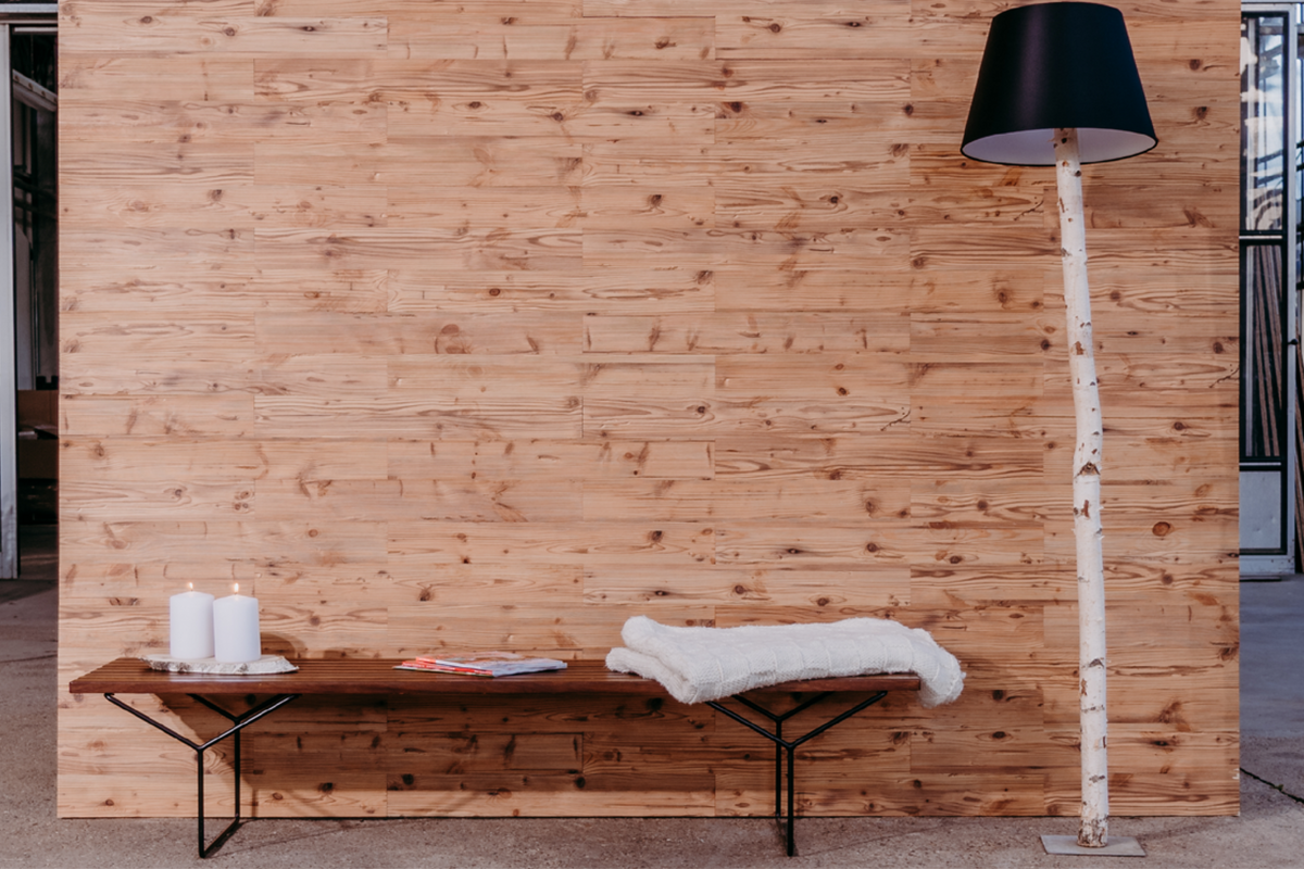 Eine Bank vor einer Holzwand mit Lampe aus einem Birkenstamm daneben