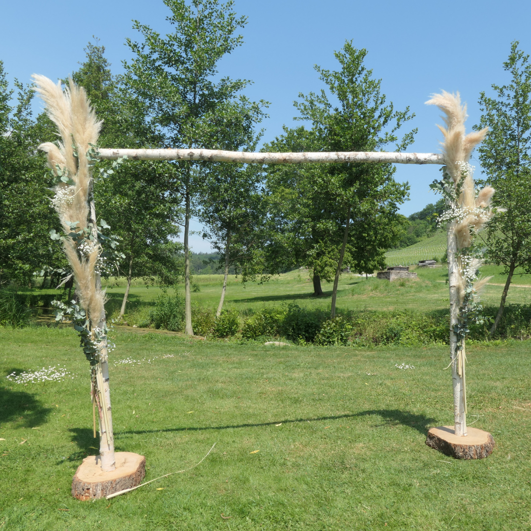 Ein dekorativer Torbogen aus drei hellen Birkenstämmen steht auf einer grünen Wiese unter blauem Himmel. Der Bogen ist mit Pampasgras und weißen Blumen geschmückt und dient als natürliches Element für eine Outdoor-Zeremonie.