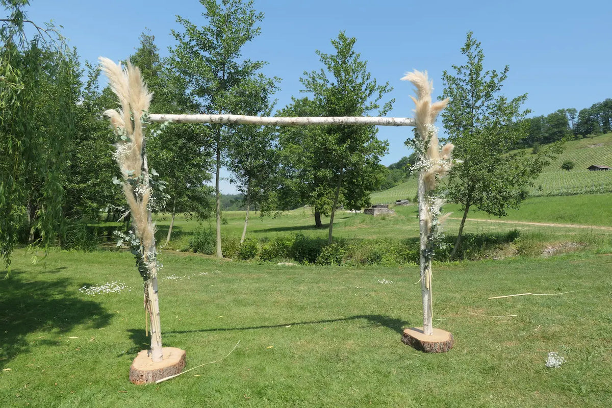 Ein dekorativer Torbogen aus drei hellen Birkenstämmen steht auf einer grünen Wiese unter blauem Himmel. Der Bogen ist mit Pampasgras und weißen Blumen geschmückt und dient als natürliches Element für eine Outdoor-Zeremonie.