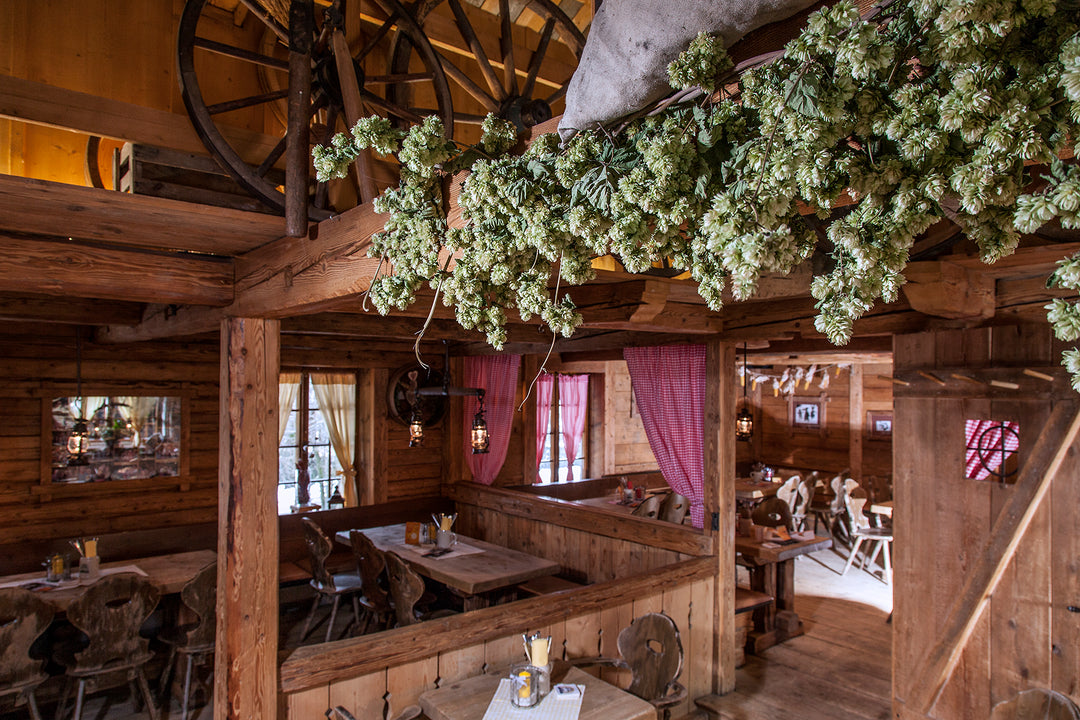 Ein uriges Restaurant im alpinen Stil, das komplett mit dunklem Altholz gestaltet ist. Von den massiven Deckenbalken hängen üppige Hopfenreben herab, die zusammen mit den hölzernen Trennwänden und rot-weiß karierten Vorhängen für eine authentische Hüttenatmosphäre sorgen.