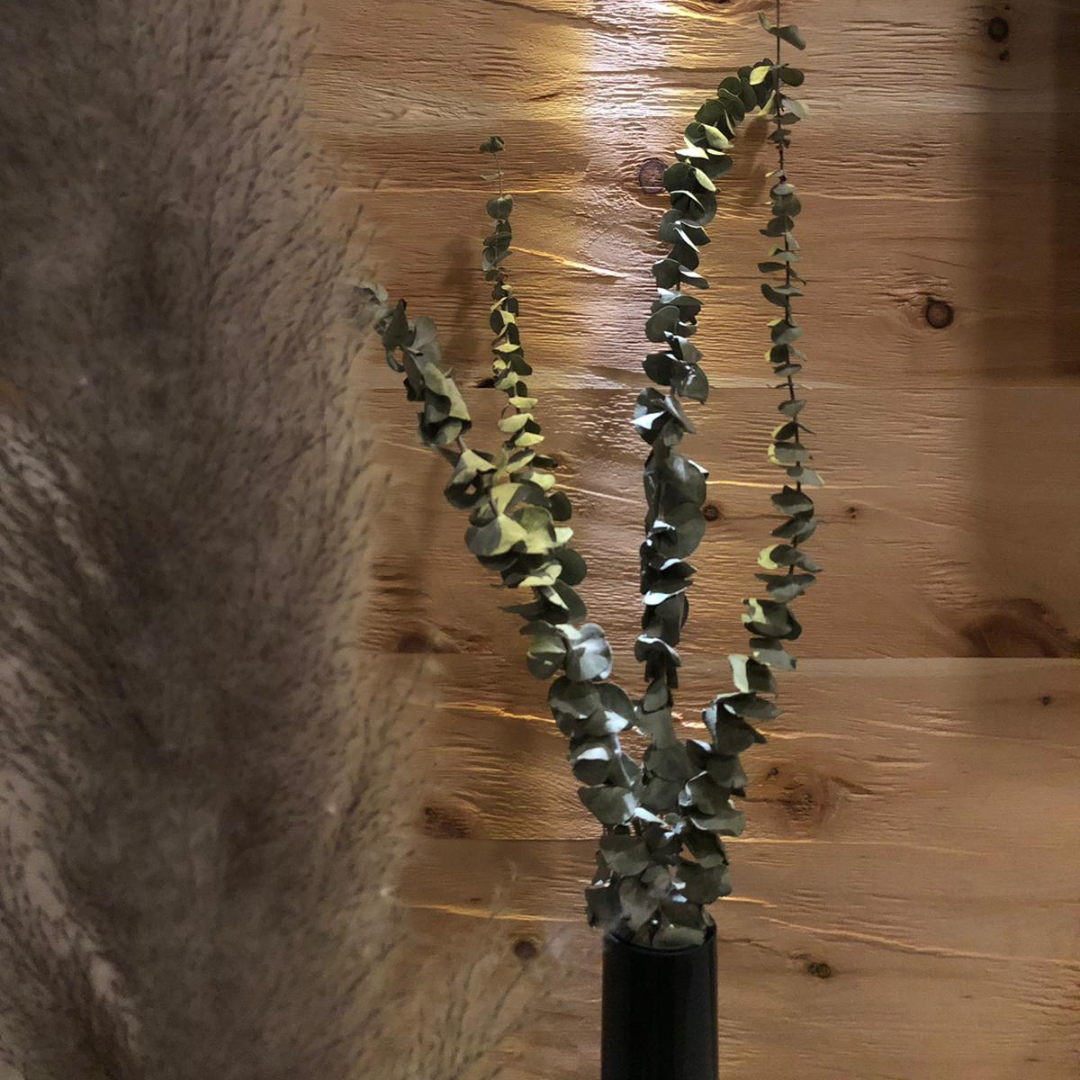 Wandverkleidung aus Tiroler Zirbe mit Trockenblumendeko im Vordergrund