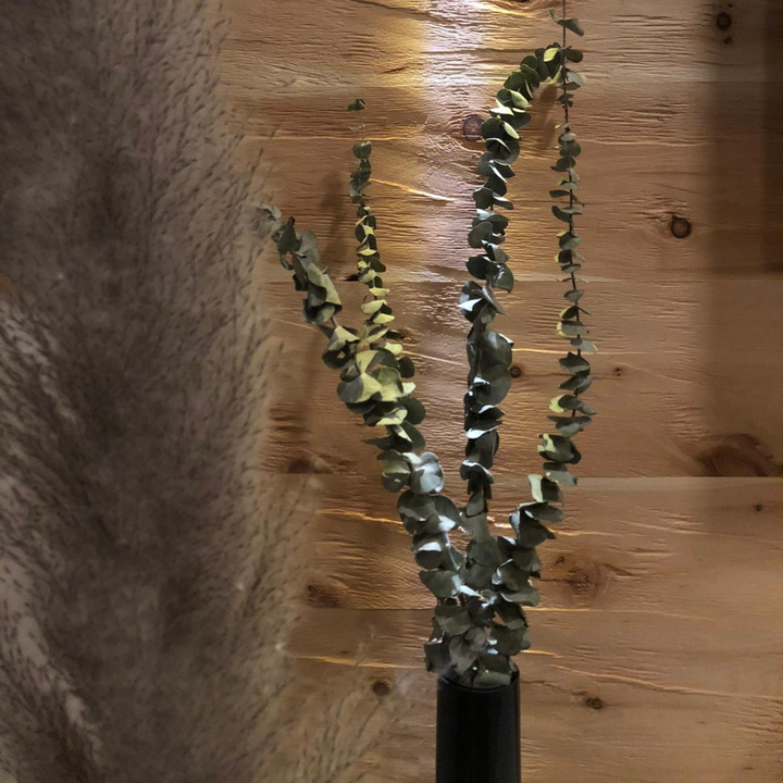 Wandverkleidung aus Tiroler Zirbe mit Trockenblumendeko im Vordergrund